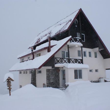 Snow House Hostel Gudauri Bagian luar foto